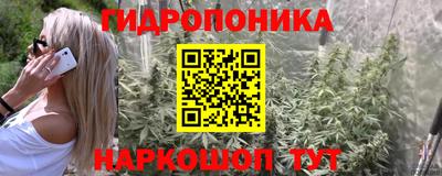 скорость Гатчина