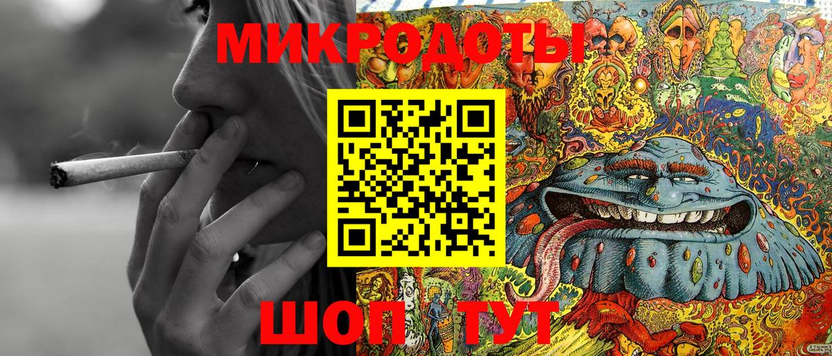 Галлюциногенные грибы Psilocybine cubensis Волжск